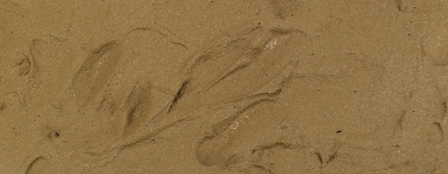 Vallejo Diorama Effects - Earth Textures - 26.219 Brown Earth - 200 ml