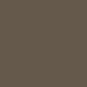 71.290 Vallejo Model Air - US Earth Brown - 17 ML