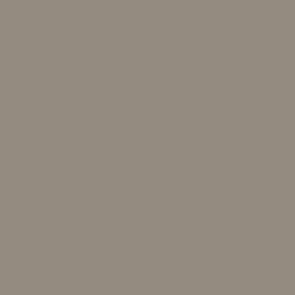 71.320 Vallejo Model Air - AMT-1 Light Grey Brown - 17 ML