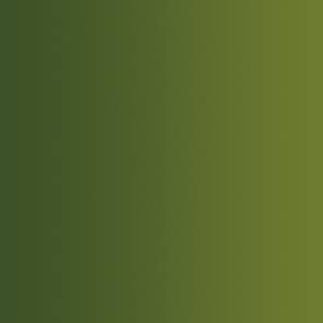 72.415 Vallejo Xpress Color - Orc Skin - 18ML