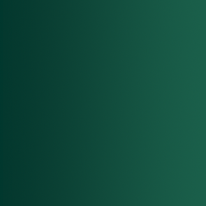 72.417 Vallejo Xpress Color - Snake Green - 18ML