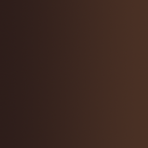 72.421 Vallejo Xpress Color - Copper Brown - 18ML