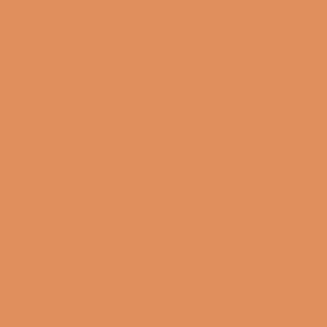 Vallejo Pigments 73.117 - Rust 73117 - 35 ML