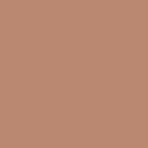 Vallejo Pigments 73.119 - European Earth 73119 - 35 ML
