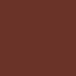 Vallejo Weathering Effects 73.821 - Rust Texture 73821 - 40 ML