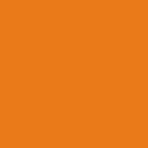 76.505 Vallejo Model Wash - Light Rust 76505 - 35 ML
