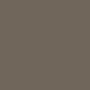 71.297 Vallejo Model Air - JGSD Brown 3606 - 17 ML