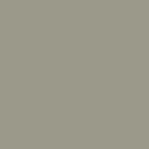 71.298 Vallejo Model Air - M495 Light Gray - 17 ML