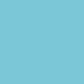 71.317 Vallejo Model Air - AII SV. Gol Light Blue - 17 ML