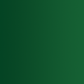 72.416 Vallejo Xpress Color - Troll Green - 18ML