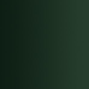 72.418 Vallejo Xpress Color - Lizard Green - 18ML
