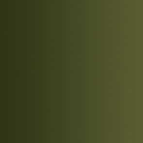 72.419 Vallejo Xpress Color - Plague Green - 18ML