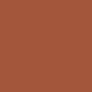 Vallejo Pigments 73.106 - Burnt Sienna 73106 - 35 ML